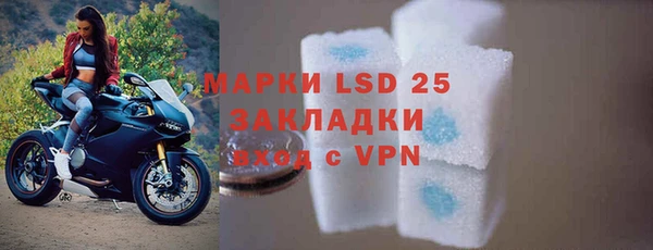 ПСИЛОЦИБИНОВЫЕ ГРИБЫ Новозыбков