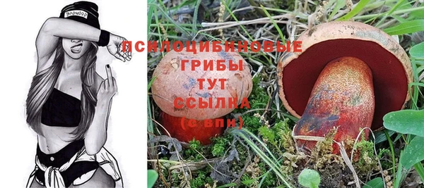 гашик Лагань