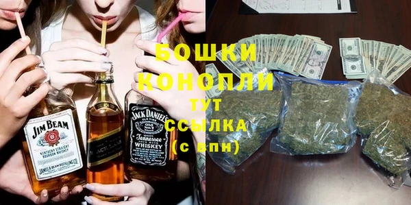 ПСИЛОЦИБИНОВЫЕ ГРИБЫ Новозыбков