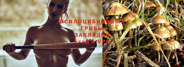 амф Лабытнанги