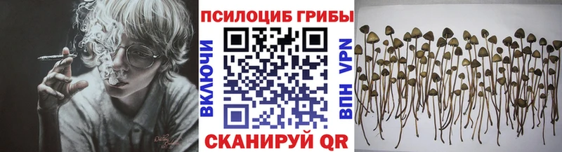 Псилоцибиновые грибы Psilocybine cubensis  omg как зайти  Евпатория 